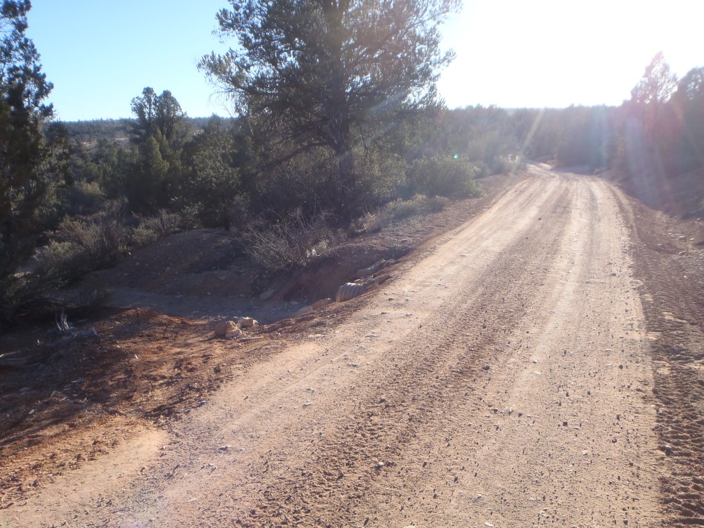 Walk left off of the main dirt road at this culvert to find the short hiking trail leading to the canyon.