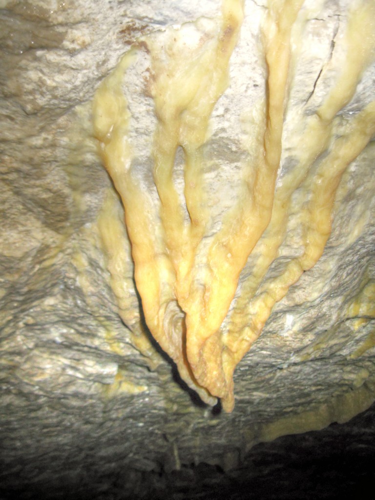 bloomington caves caving stalactite