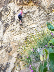rock climbing at the prophesy wall Utah