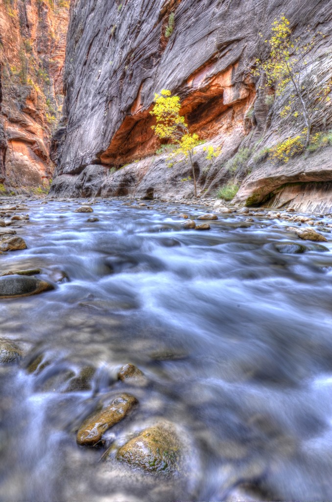 virgin river narrows zion national park Utah